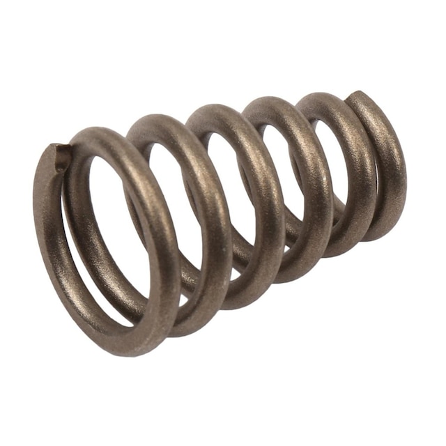 GM Genuine Parts Exhaust Spring
