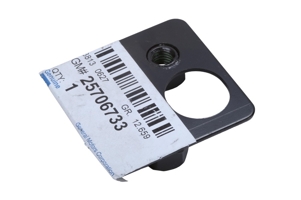 GM Genuine Parts Passenger Side Door Hinge Support Brace