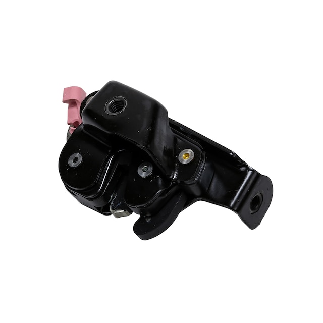 GM Genuine Parts Rear Door Latch