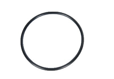 GM Genuine Parts Front Wheel Bearing Seal (O-Ring)