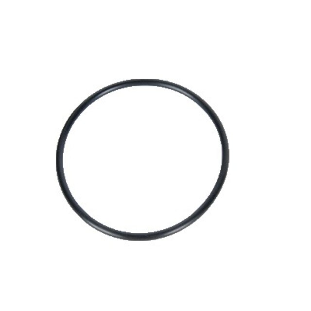 GM Genuine Parts Front Wheel Bearing Seal (O-Ring)