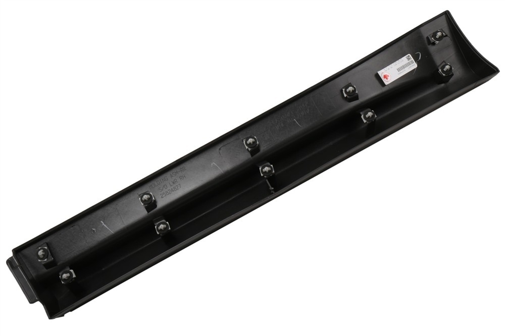 GM Genuine Parts Dark Smoke Gray Rear Passenger Side Door Lower