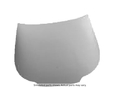GM Genuine Parts Windshield