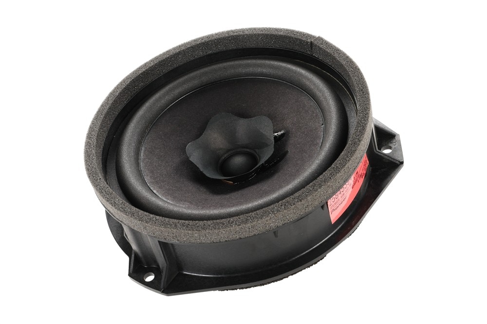 GM Genuine Parts Rear Side Door Lower Radio Speaker