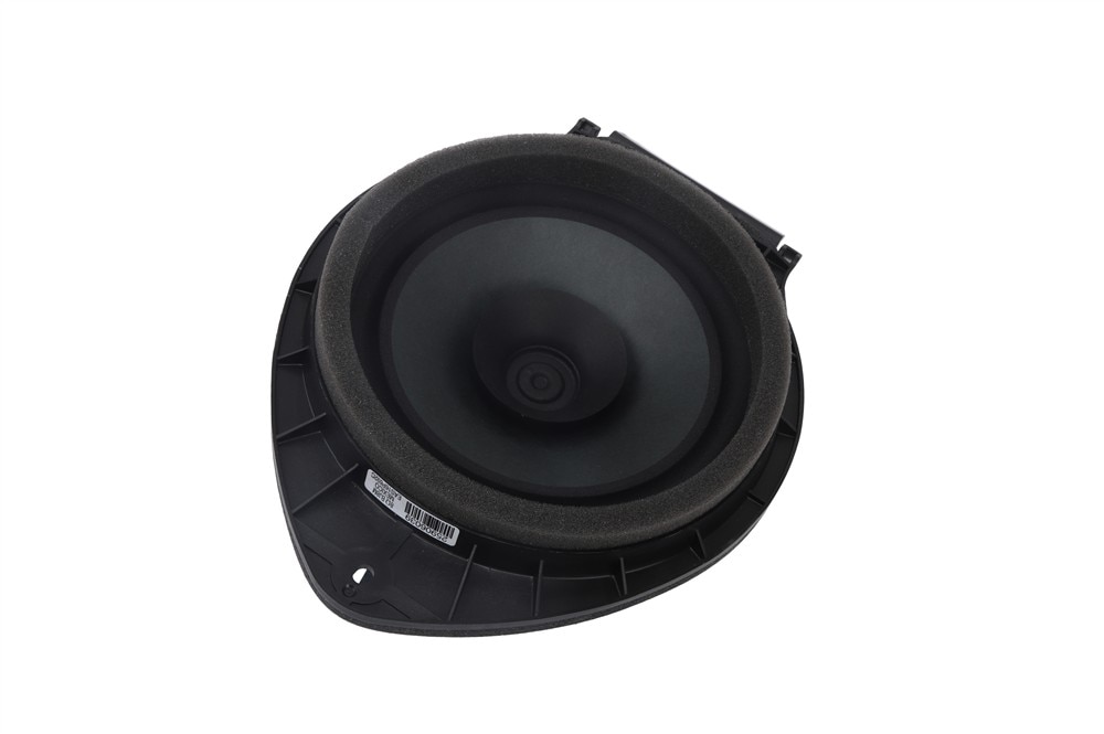 GM Genuine Parts Rear Side Door Speaker