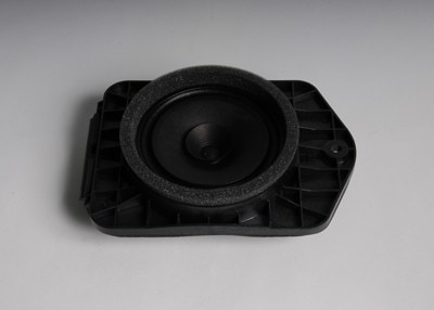 GM Genuine Parts Rear Side Door Speaker