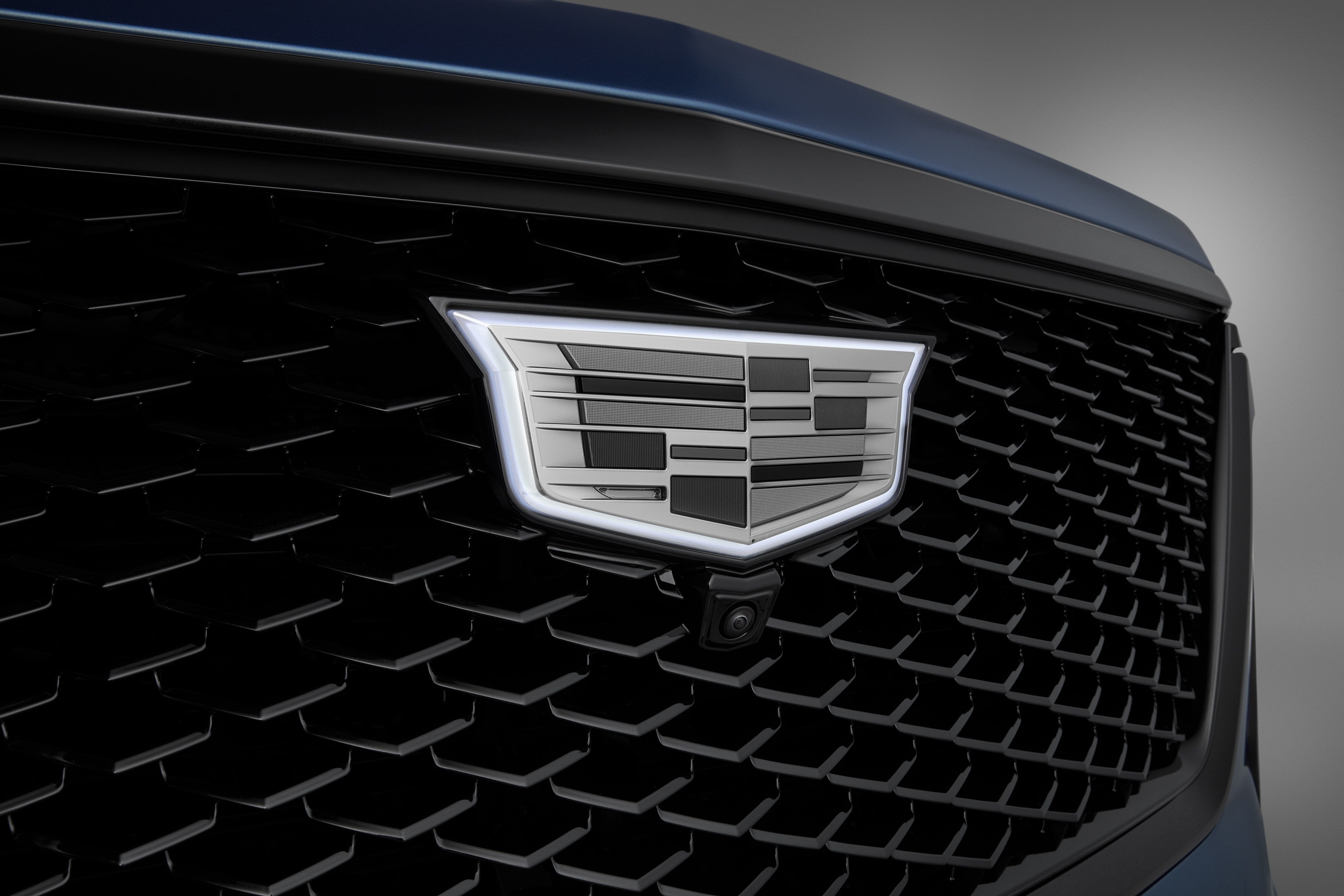 Cadillac Reconfigurable Bed Rails in Black | 85618959
