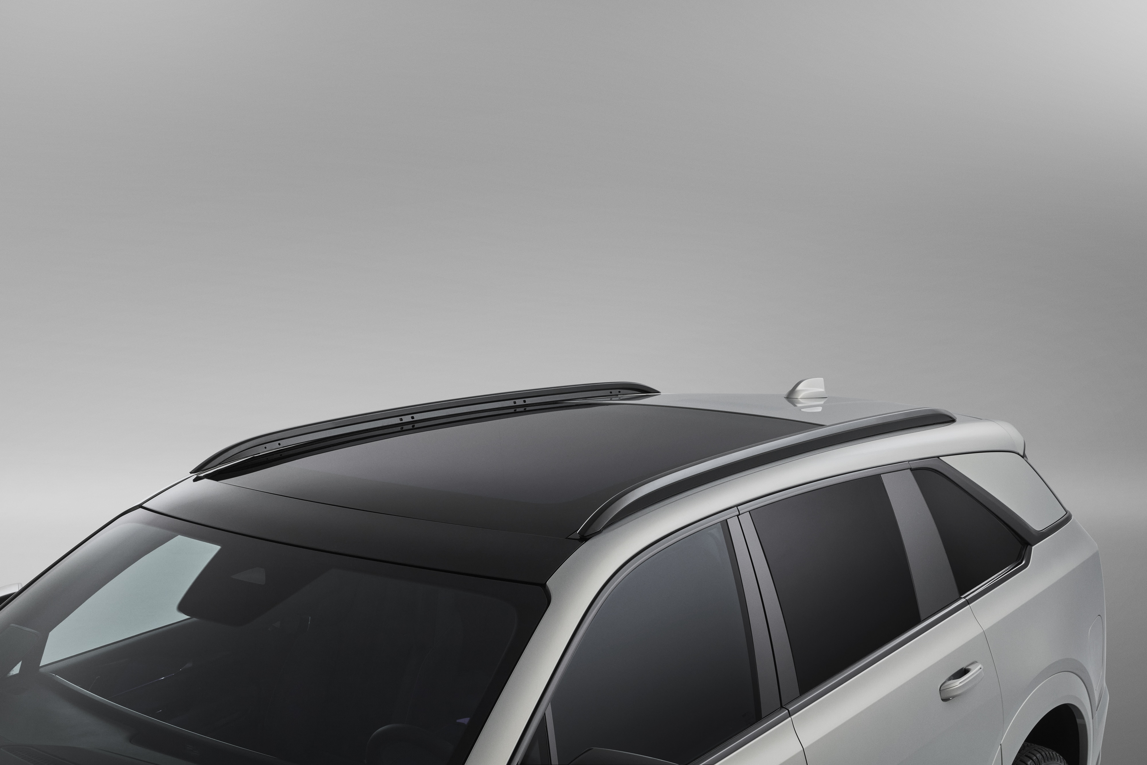 Roof-Mounted Side Rails (Required to Install Roof Rack Cross Rails)