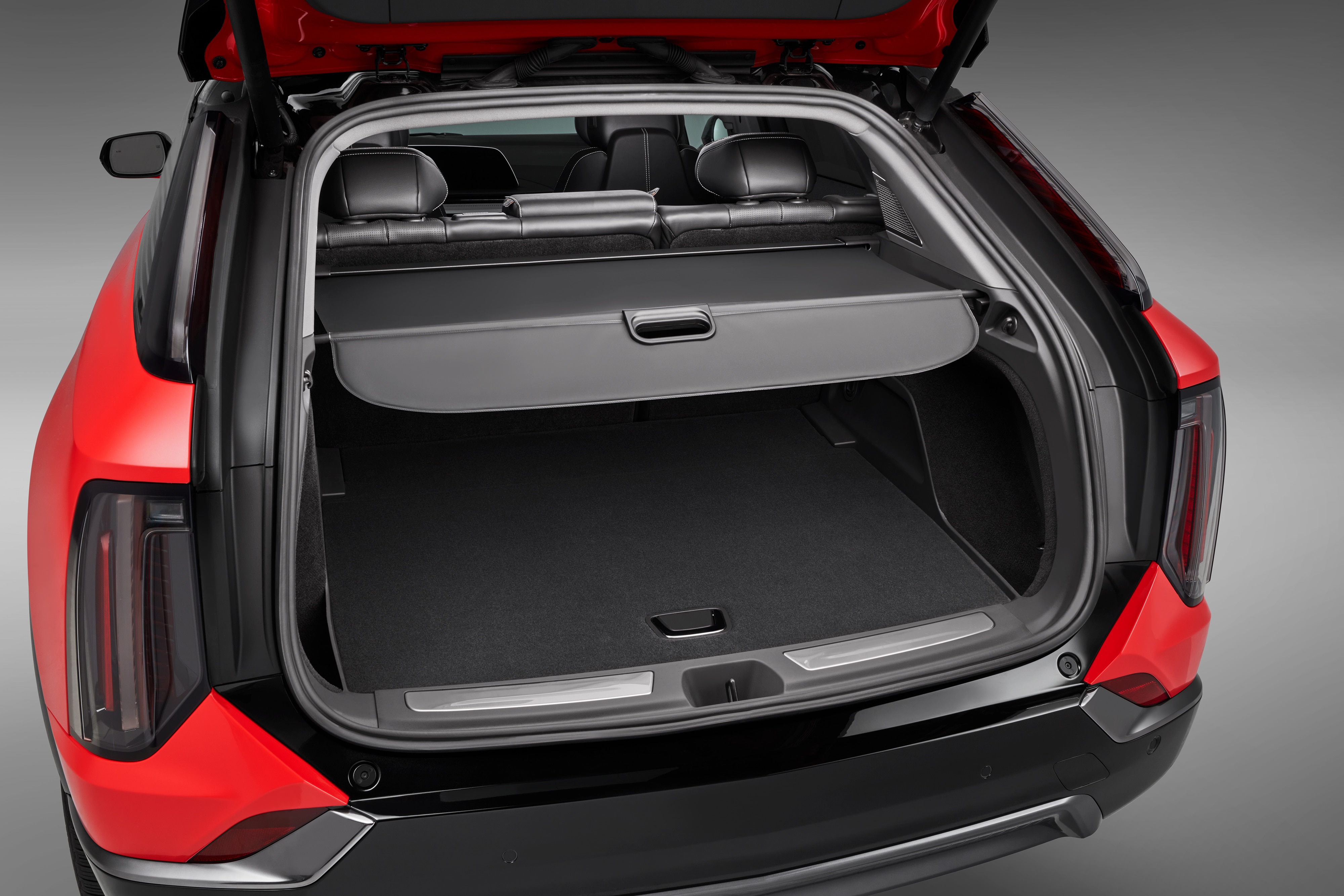Cargo Area Shade in Backen Black