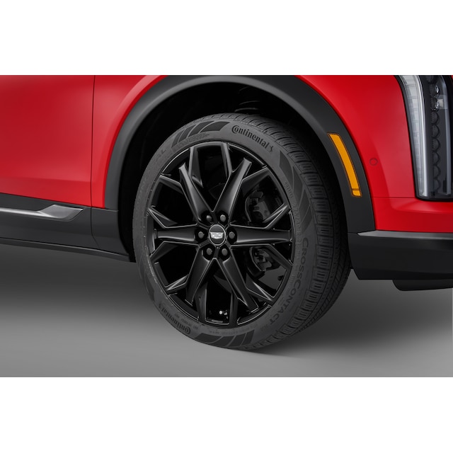 On-Vehicle Image