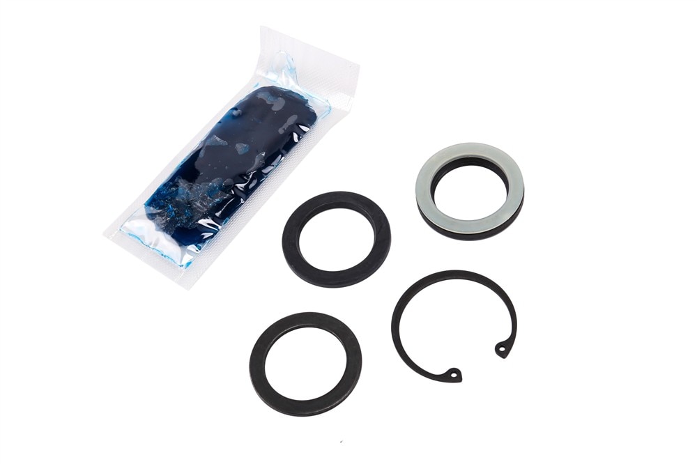 GM Genuine Parts Steering Gear Pitman Shaft Seal