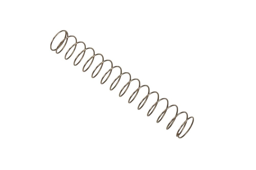 GM Genuine Parts Lock Spring