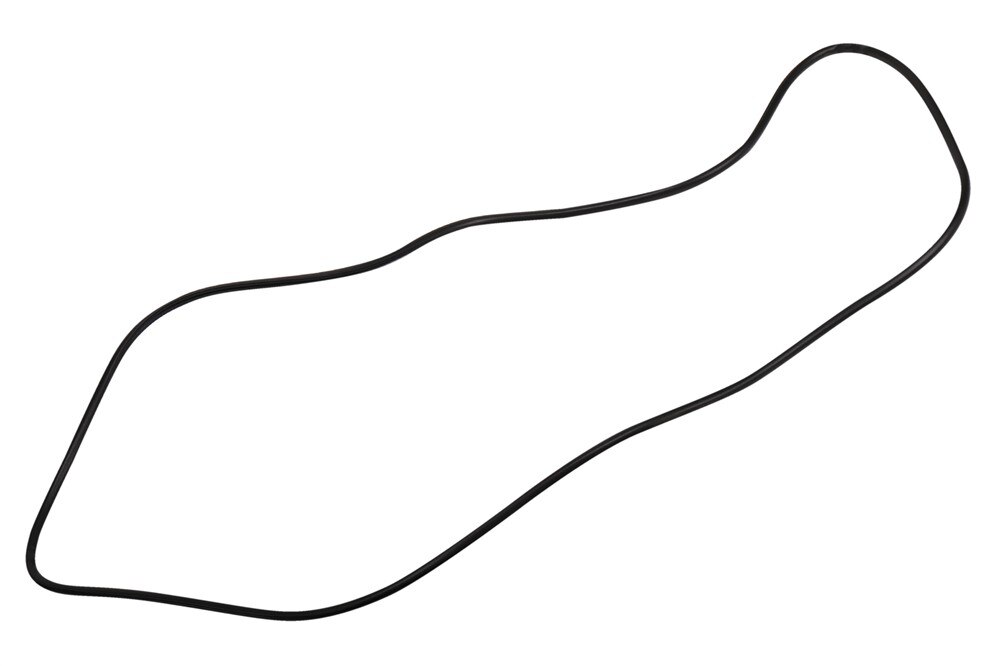 GM Genuine Parts Sunroof Window Seal