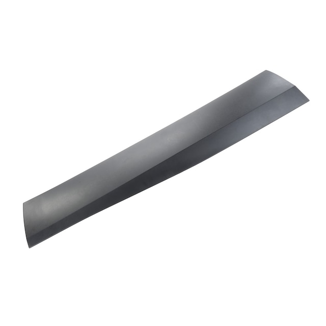 GM Genuine Parts Front Passenger Side Door Molding