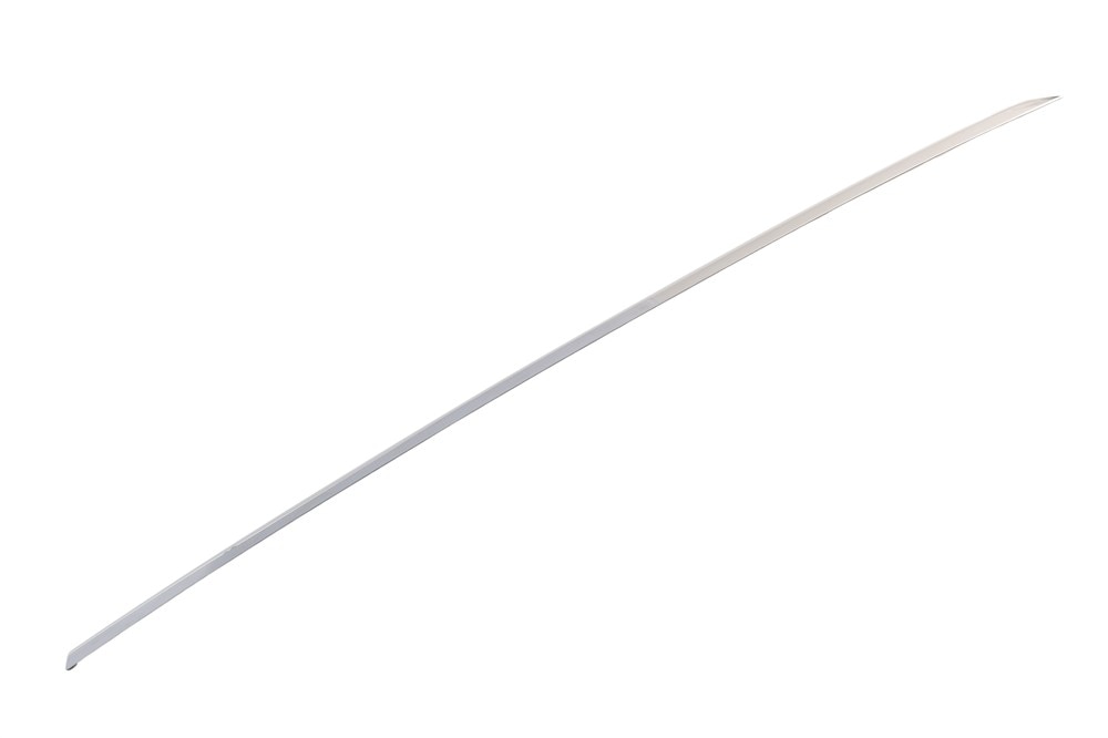 GM Genuine Parts Door Window Molding