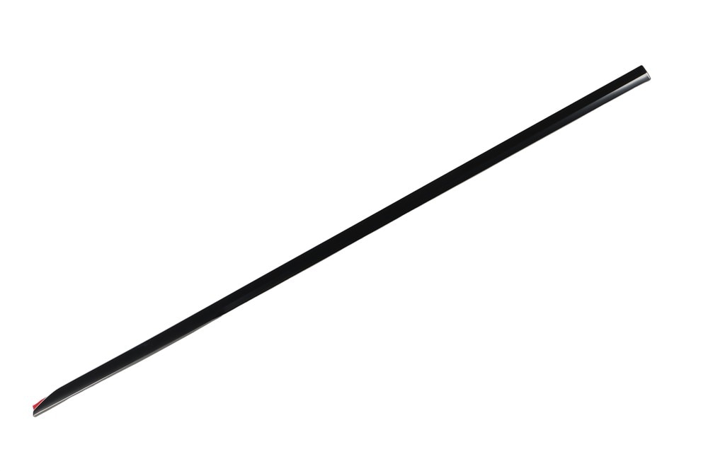 GM Genuine Parts Front Passenger Side Door Molding