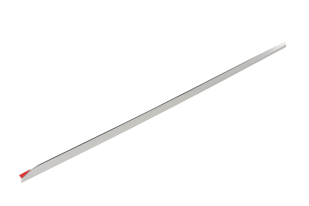 GM Genuine Parts Front Passenger Side Door Molding