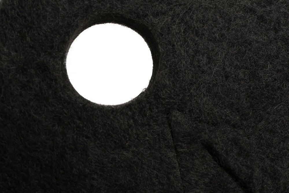 Alternate Image