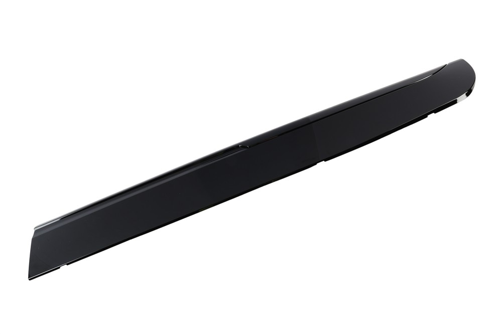 GM Genuine Parts Door Molding