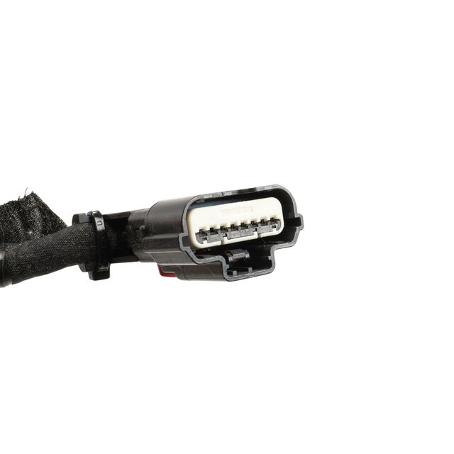 Alternate Image