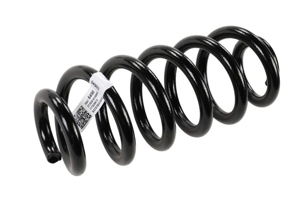 GM Genuine Parts Rear Coil Spring