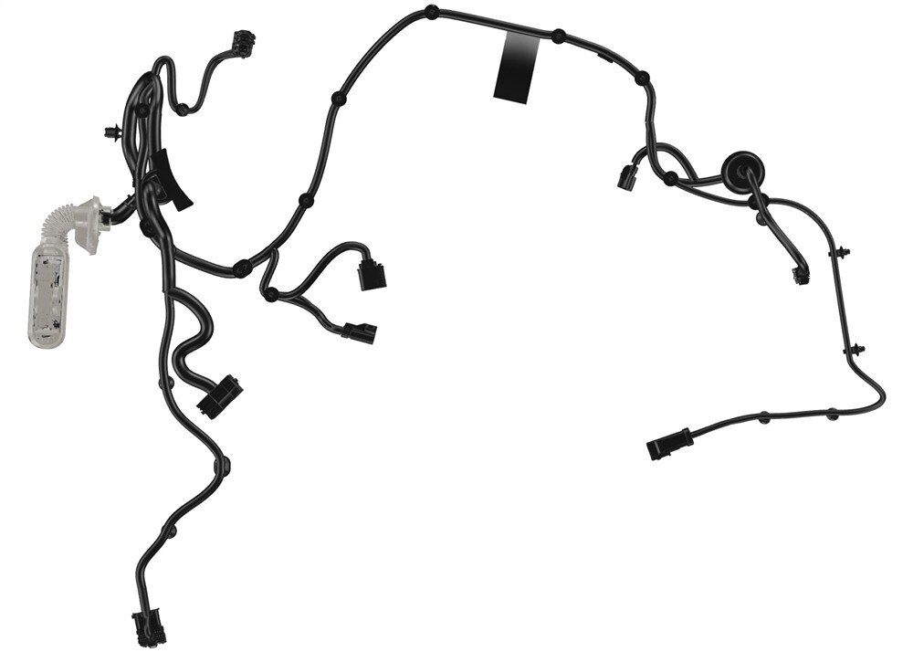 Alternate Image