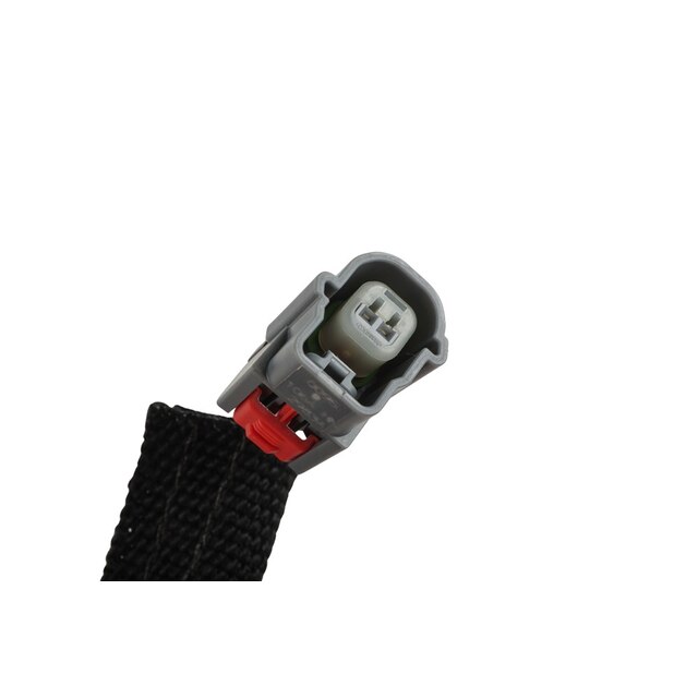Alternate Image
