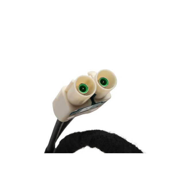 Alternate Image