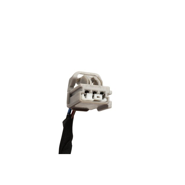Alternate Image