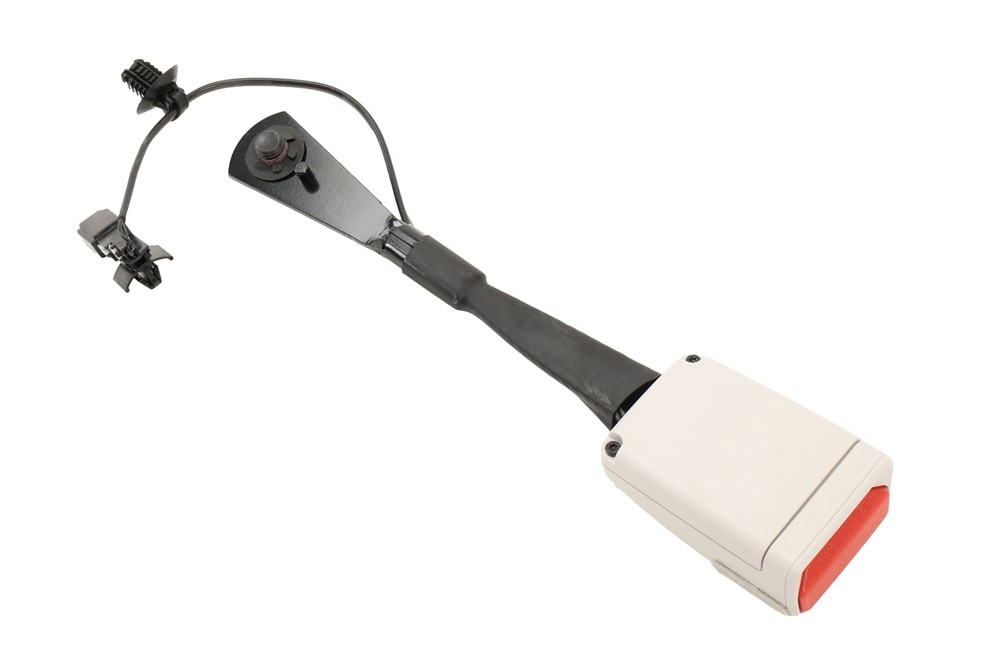 Alternate Image