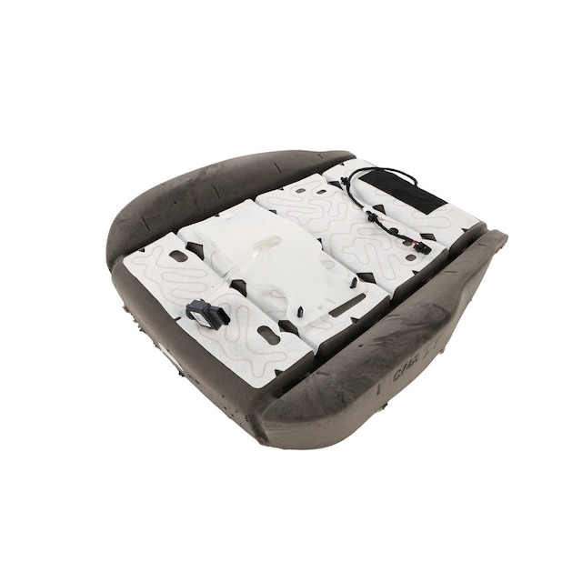 GM Genuine Parts Passenger Side Airbag Front Passenger Presence Module