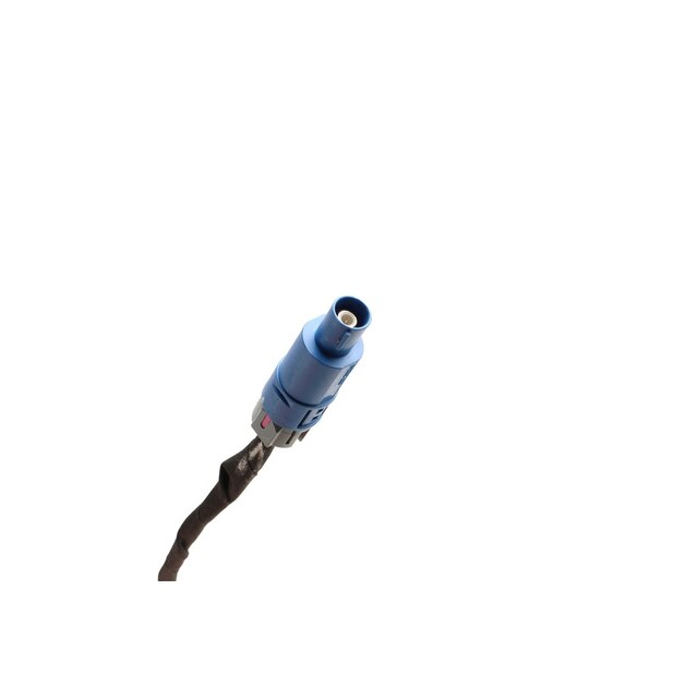 Alternate Image