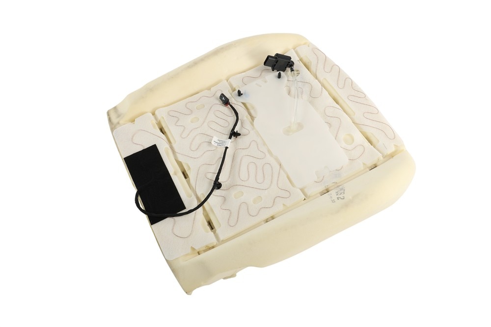 GM Genuine Parts Airbag Front Passenger Presence Module