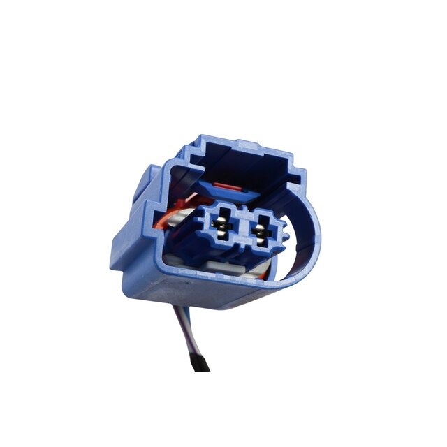 Alternate Image