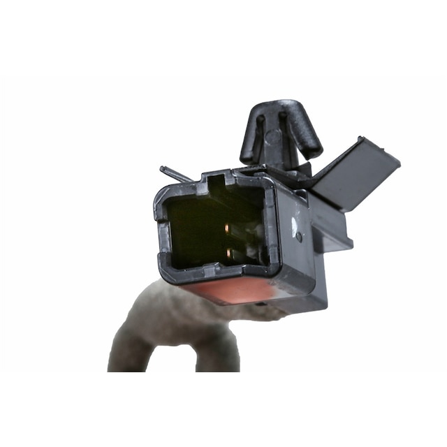 Alternate Image