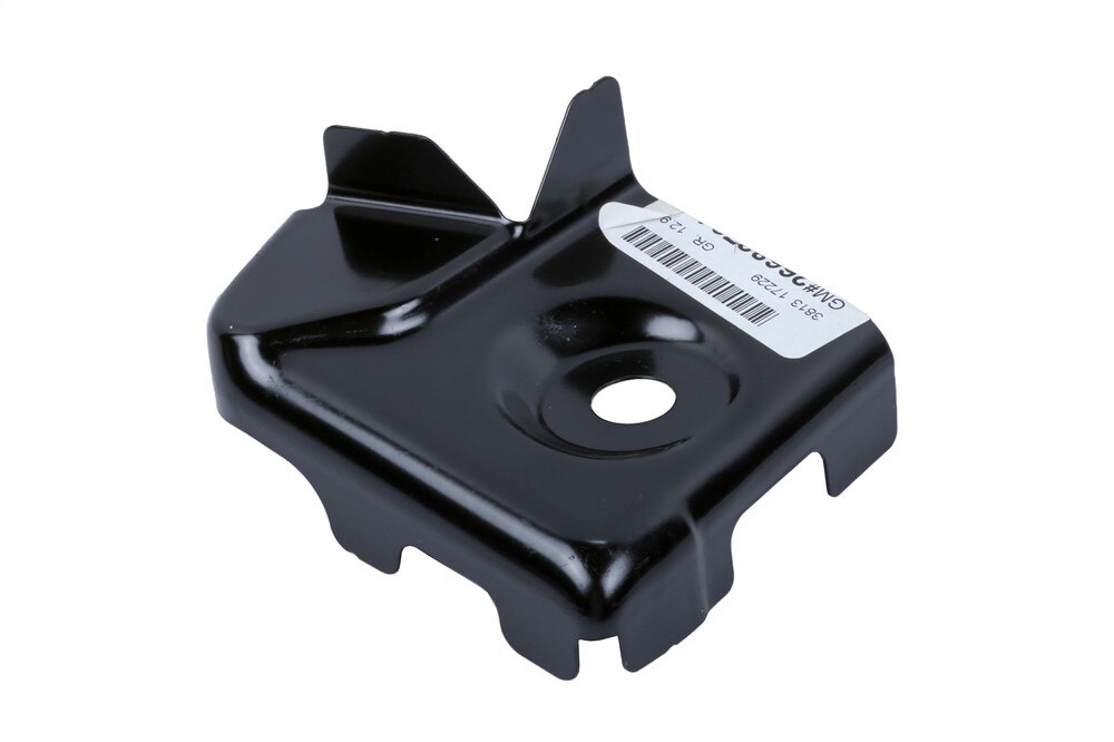 GM Genuine Parts Driver Side Body Side Outer Panel Front Lower Filler