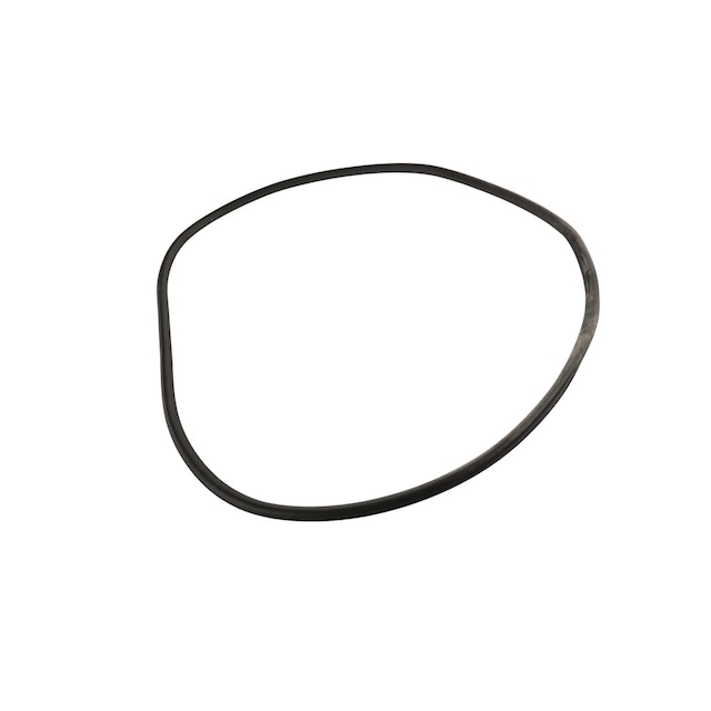 GM Genuine Parts Rear Side Door Weatherstrip (Body Side)