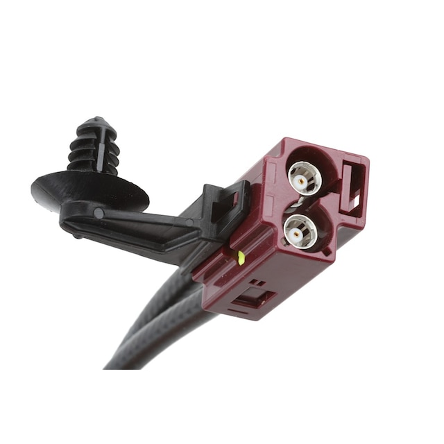 Alternate Image