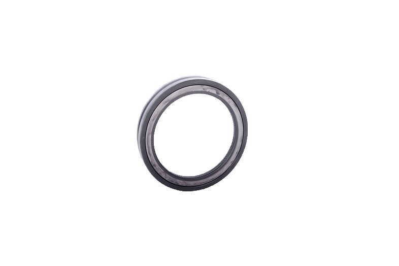 GM Genuine Parts Rear Wheel Bearing Seal