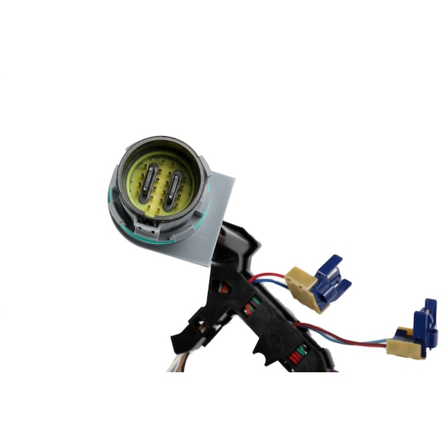Alternate Image
