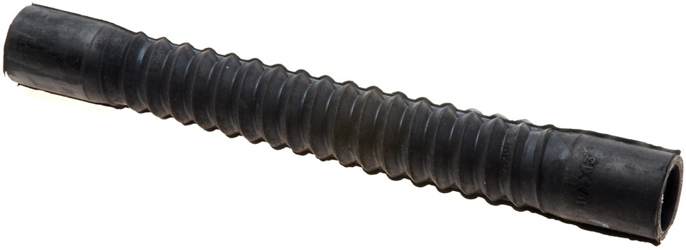 Alternate Image