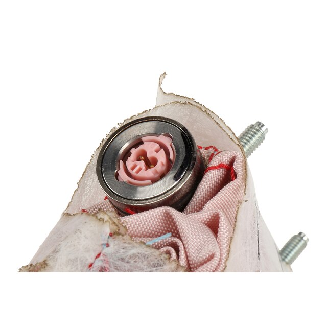 Alternate Image