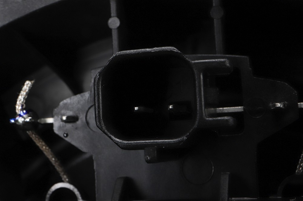 Alternate Image