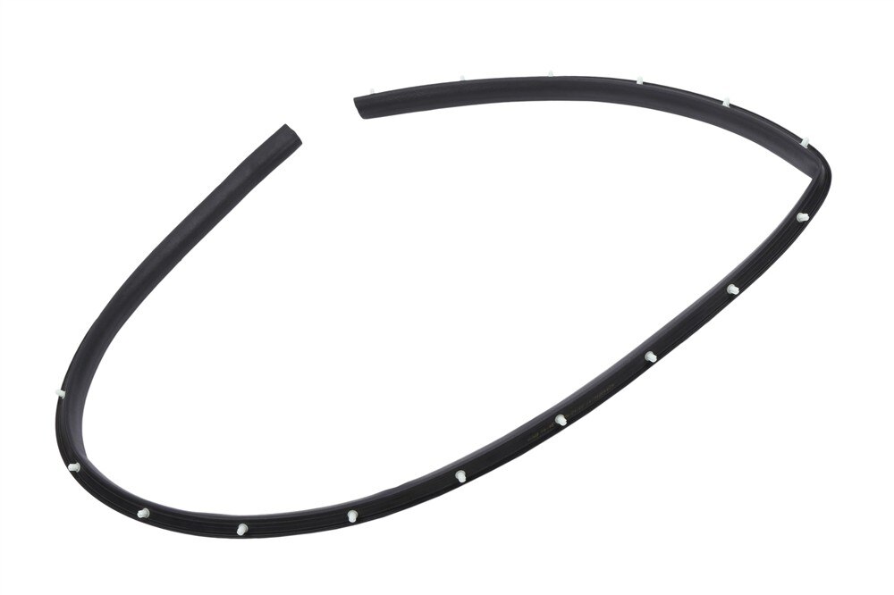 GM Genuine Parts Driver Side Door Window Belt Weatherstrip