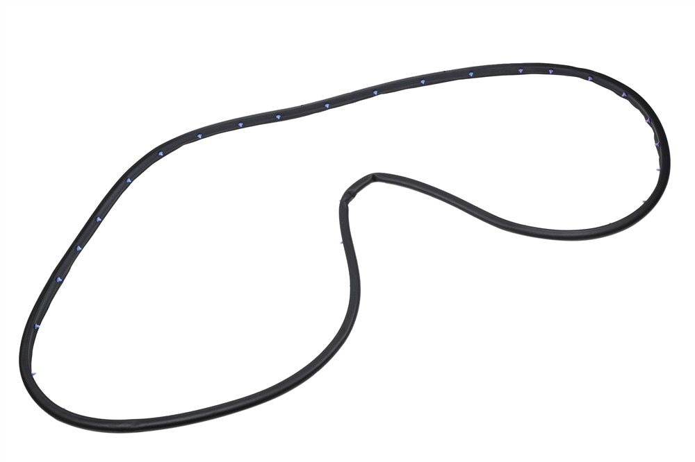 GM Genuine Parts Front Passenger Side Door Weatherstrip
