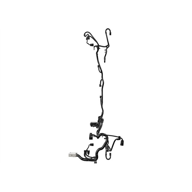 Alternate Image