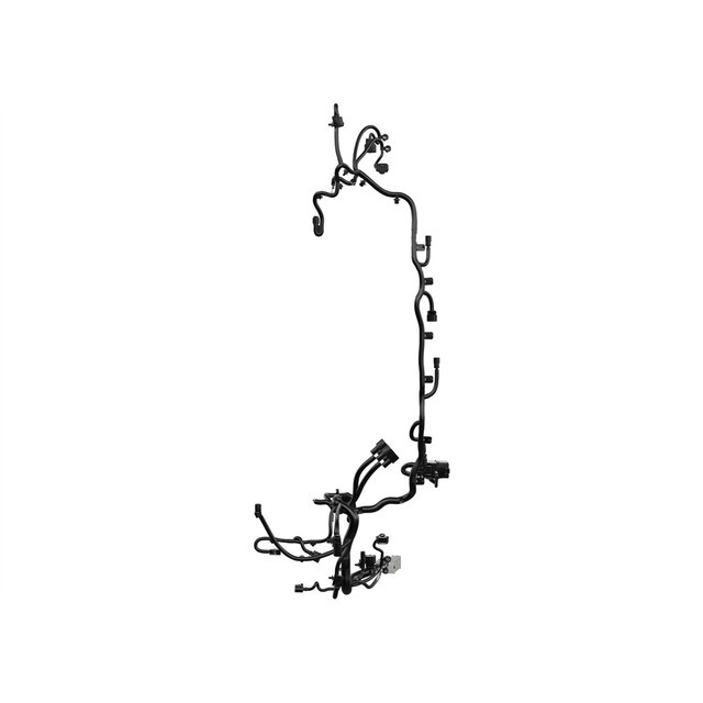 Alternate Image