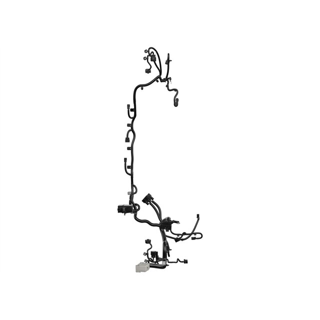Alternate Image