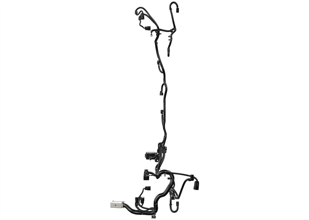 Alternate Image