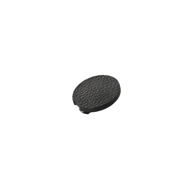 GM Genuine Parts Very Dark Pewter Front Driver Side Door Trim Bolt Cap